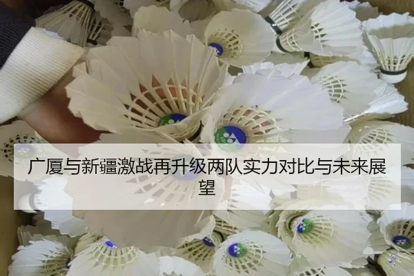 广厦与新疆激战再升级两队实力对比与未来展望