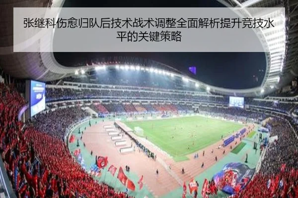 张继科伤愈归队后技术战术调整全面解析提升竞技水平的关键策略
